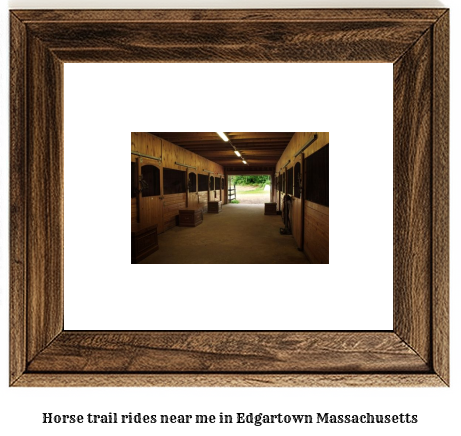 horse trail rides near me in Edgartown, Massachusetts